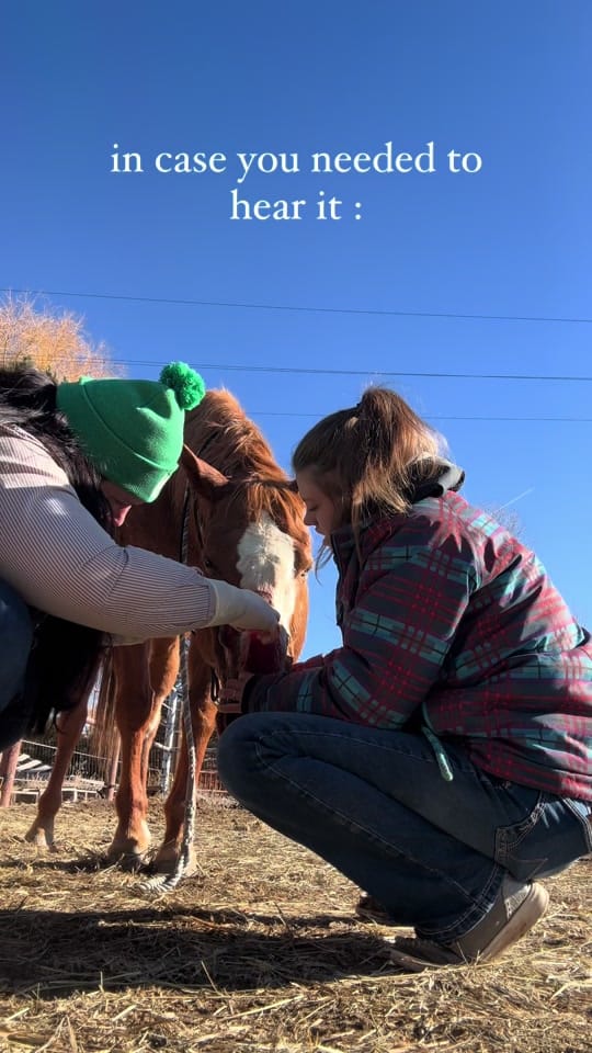 Post 9 by 🩺hannah the horse doc🐎 on TikTok (video)