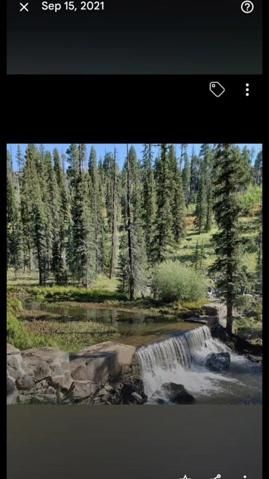 Post 6 by pattilm969 on TikTok (video)