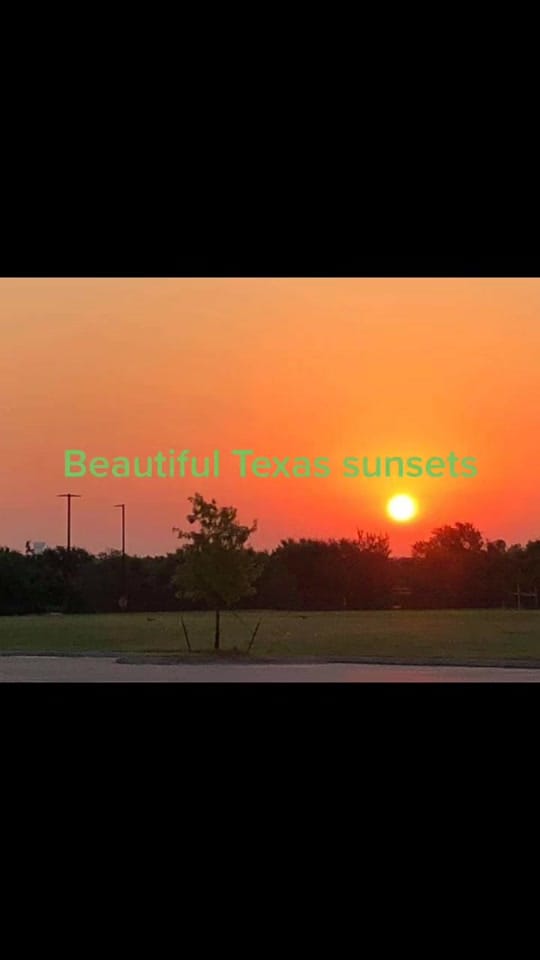 Post 4 by pattilm969 on TikTok (video)
