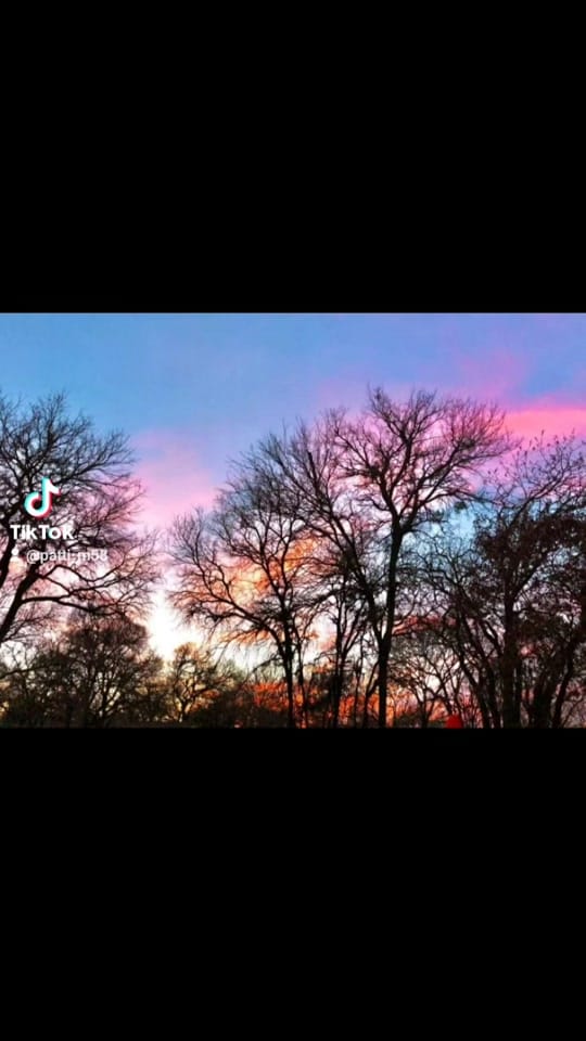 Post 9 by pattilm969 on TikTok (video)