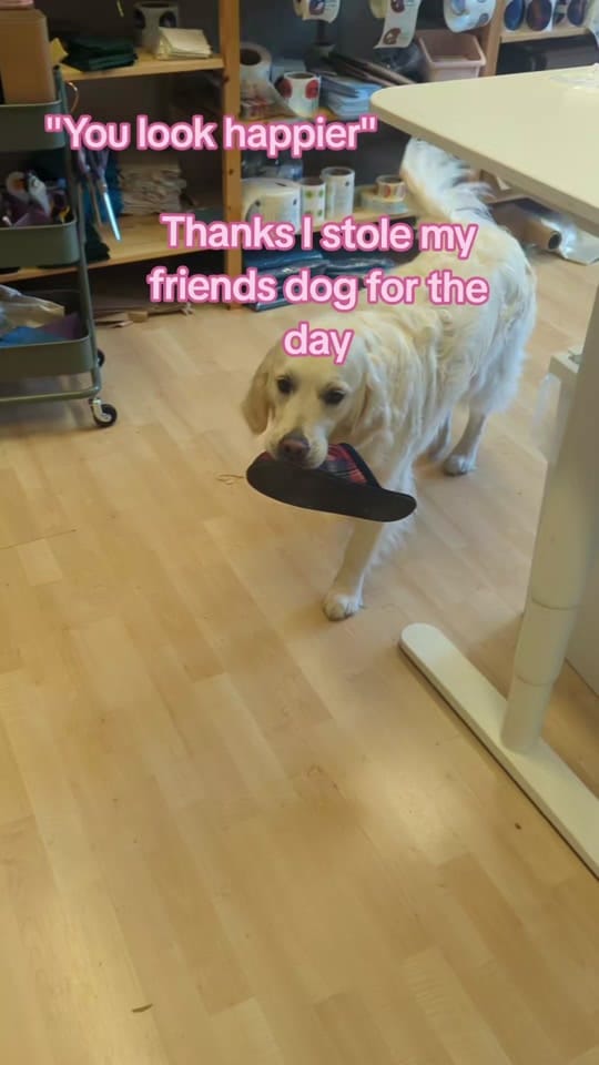 Post 7 by Paraffle on TikTok (video)