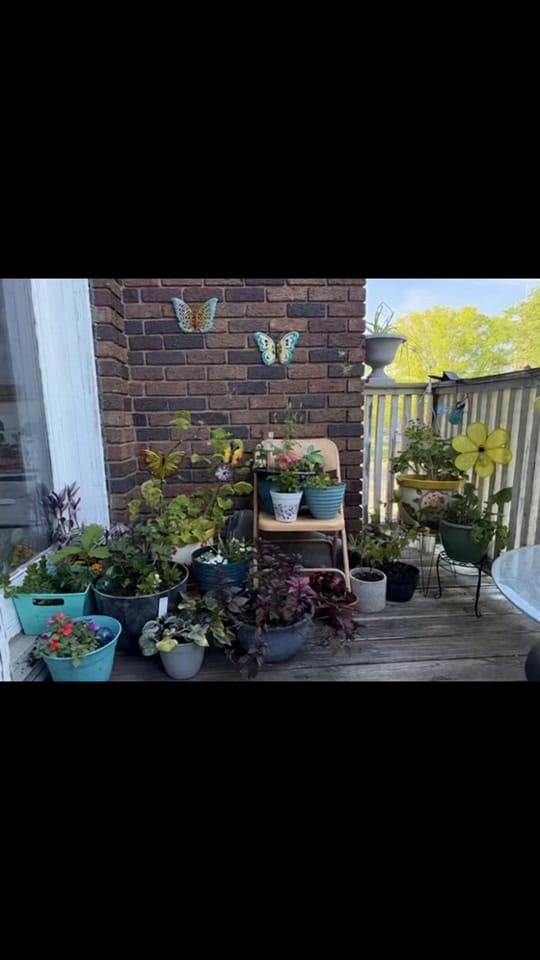 Post 1 by ❌traveling7️⃣dogstar❌ on TikTok (video)