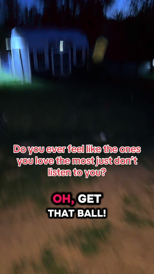 Post 3 by ❌traveling7️⃣dogstar❌ on TikTok (video)