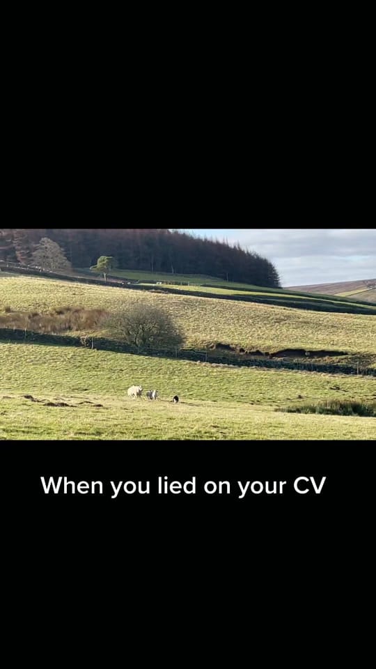Post 10 by Our Yorkshire Life on TikTok (video)