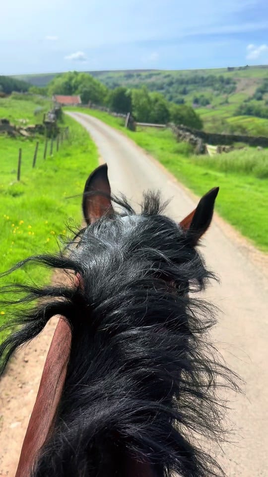 Post 4 by Our Yorkshire Life on TikTok (video)