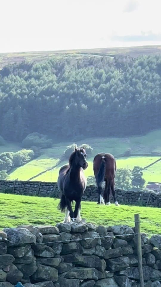 Post 1 by Our Yorkshire Life on TikTok (video)