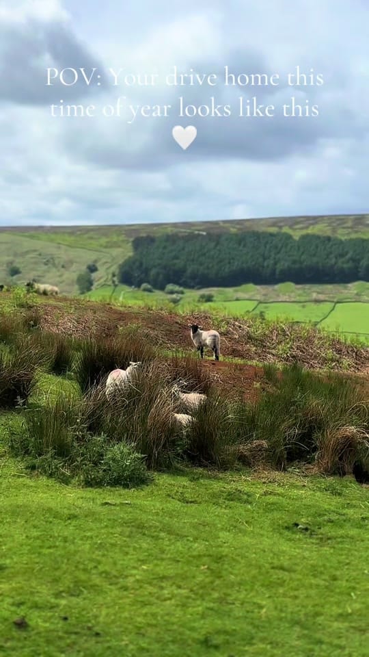 Post 5 by Our Yorkshire Life on TikTok (video)