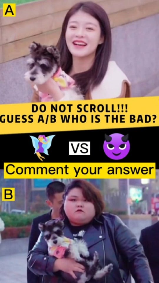 Post 1 by Lovely Dog Story on TikTok (video)