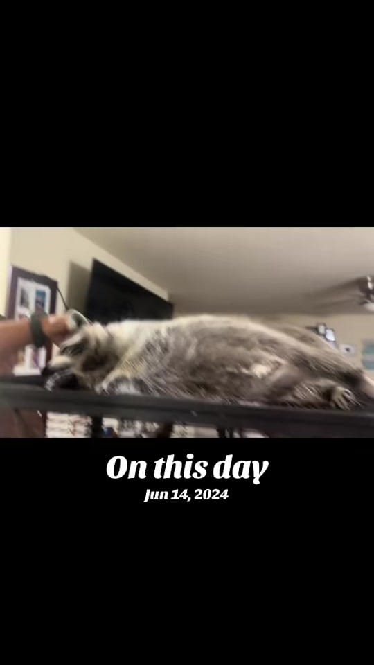 Post 1 by Smith on TikTok (video)