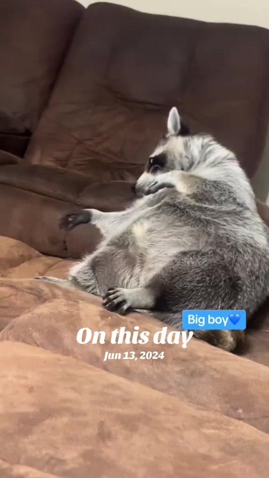 Post 3 by Smith on TikTok (video)