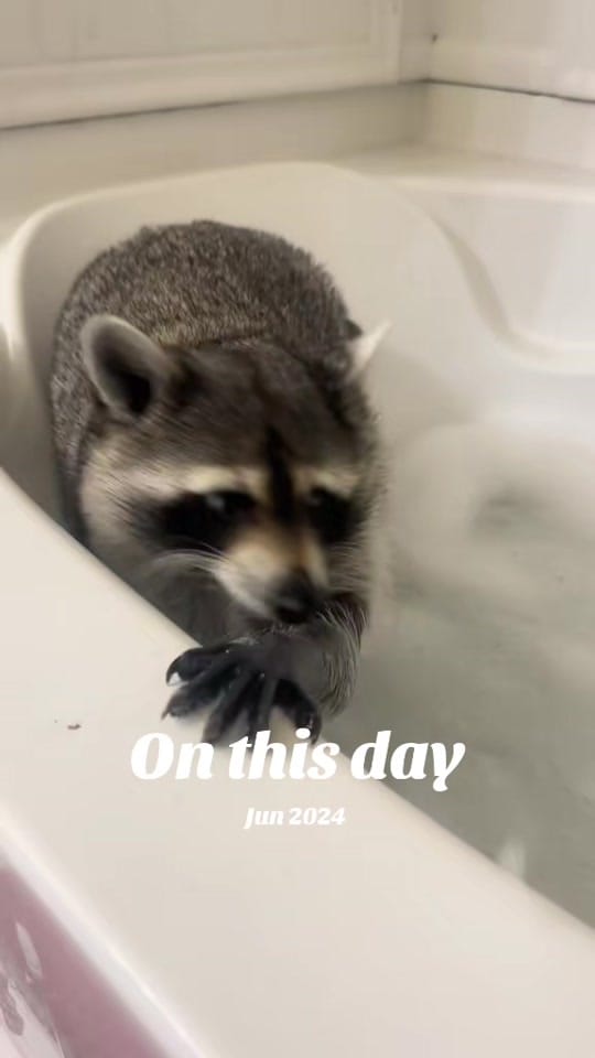 Post 7 by Smith on TikTok (video)
