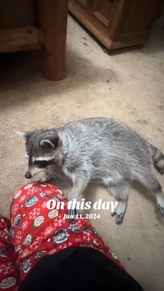 Post 5 by Smith on TikTok (video)