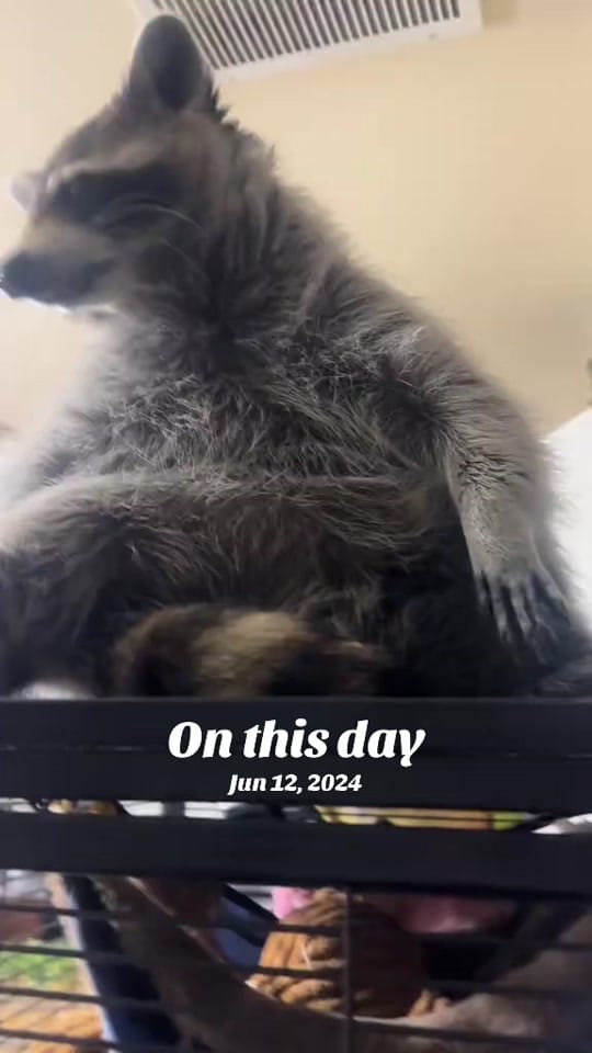 Post 4 by Smith on TikTok (video)