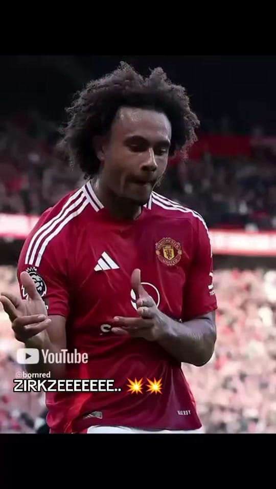 Post 5 by Bornred.id on TikTok (video)