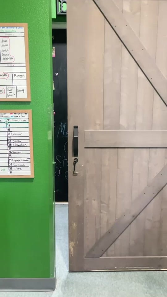 Post 4 by PAWS Shelter on TikTok (video)