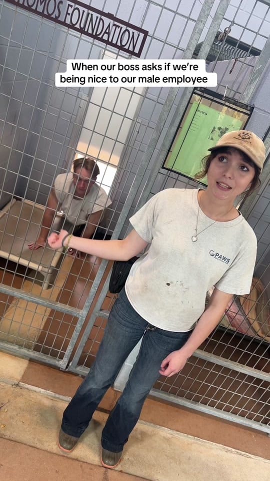 Post 6 by PAWS Shelter on TikTok (video)