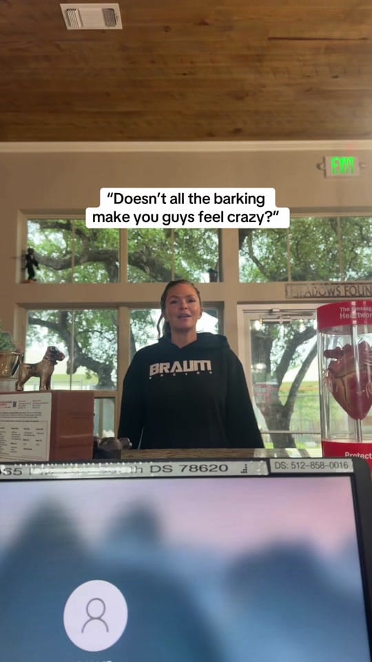 Post 5 by PAWS Shelter on TikTok (video)