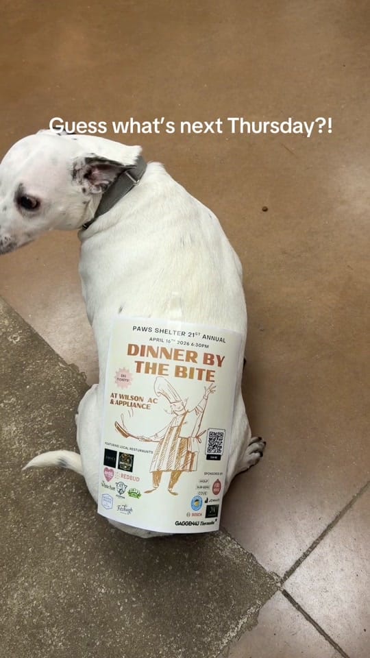 Post 9 by PAWS Shelter on TikTok (video)