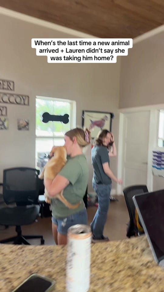 Post 7 by PAWS Shelter on TikTok (video)
