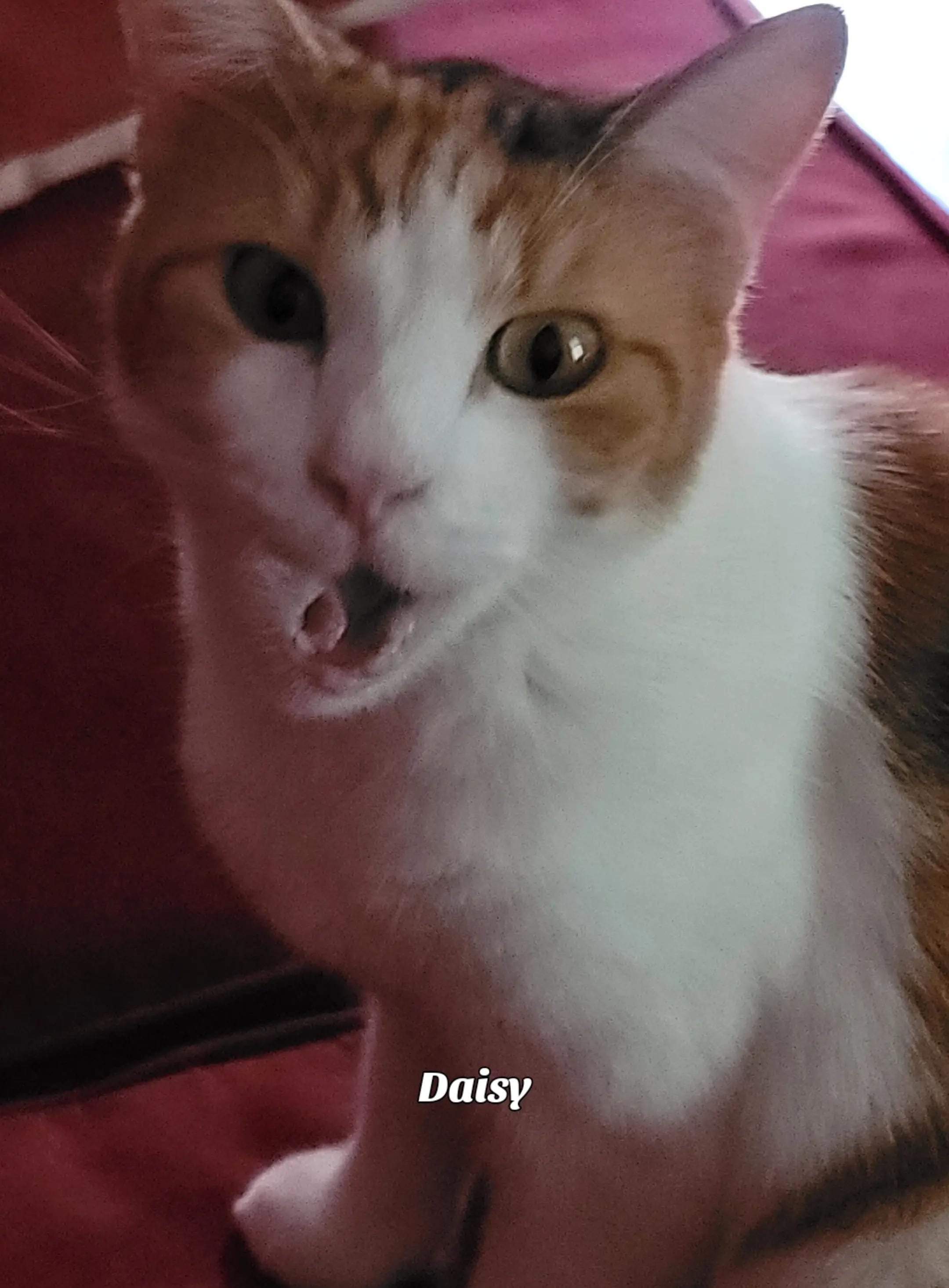 Post 4 by Lynn on TikTok (video)