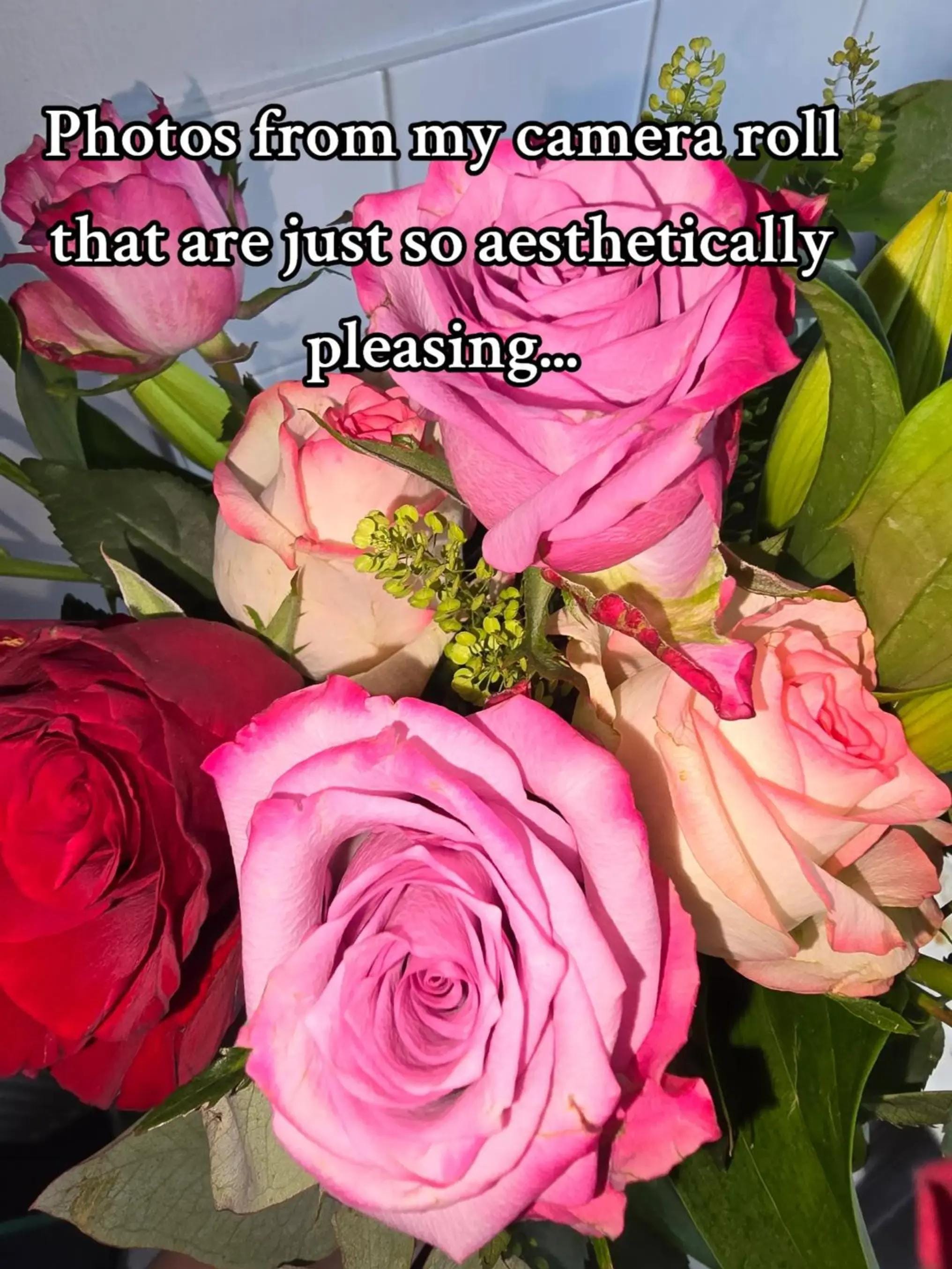 Post 2 by Cheryl marie on TikTok (video)