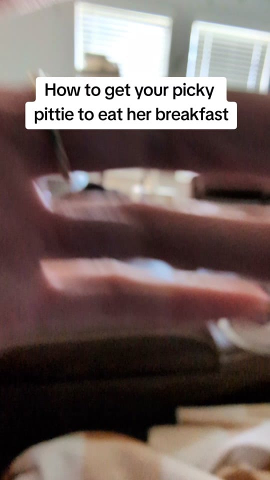 Post 7 by Nala One and Two on TikTok (video)