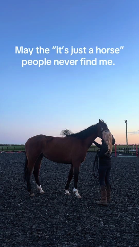 Post 3 by geehanrahan on TikTok (video)