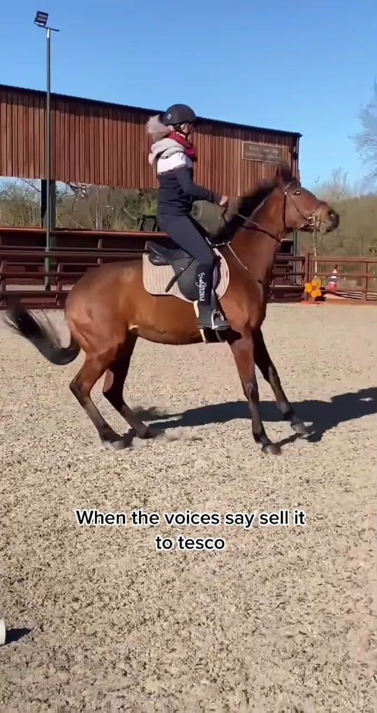 Post 10 by geehanrahan on TikTok (video)