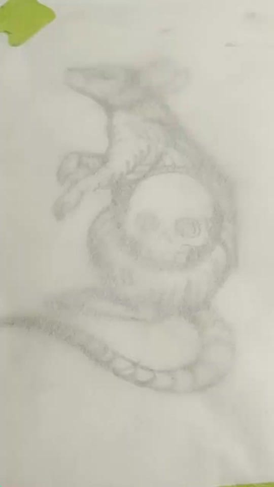 Post 10 by jwcandlish on TikTok (video)