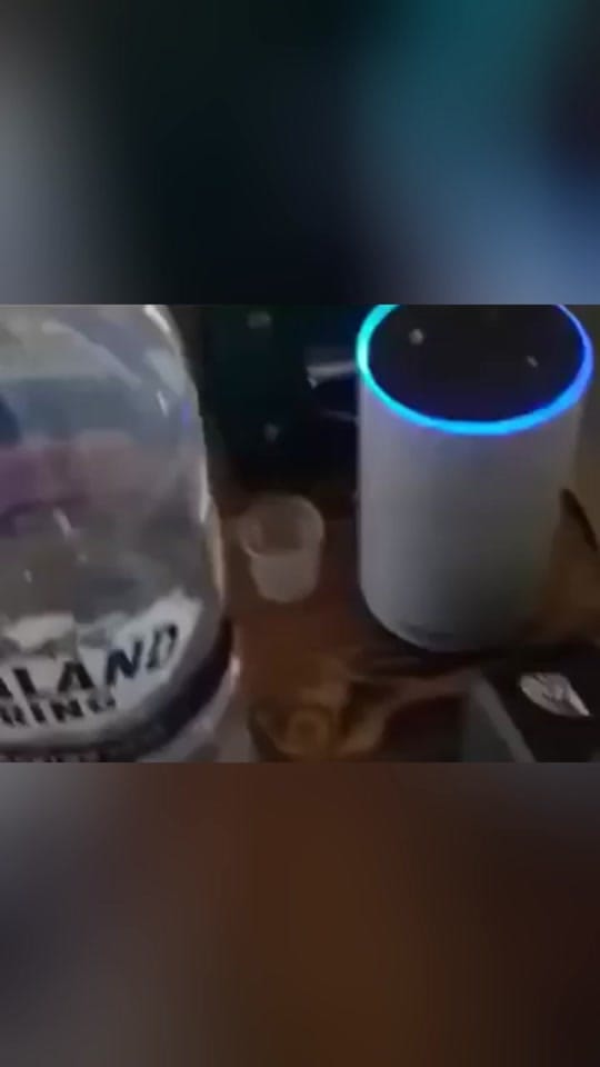 Post 4 by naefilterscotland on TikTok (video)