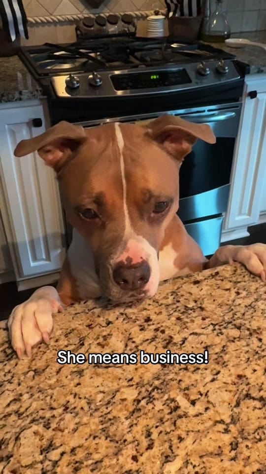 Post 2 by DKMike on TikTok (video)