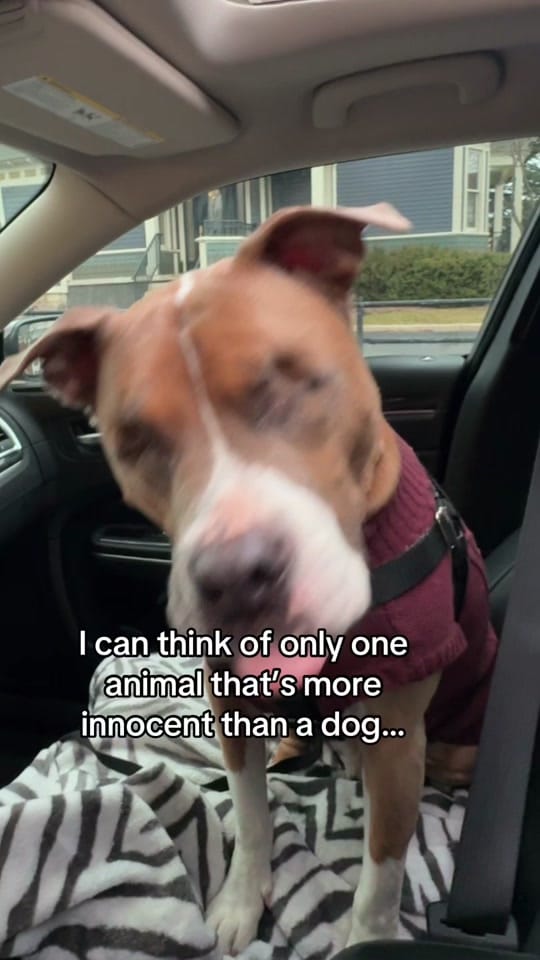 Post 6 by DKMike on TikTok (video)