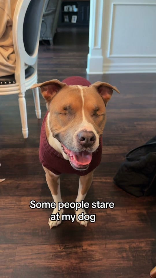 Post 1 by DKMike on TikTok (video)