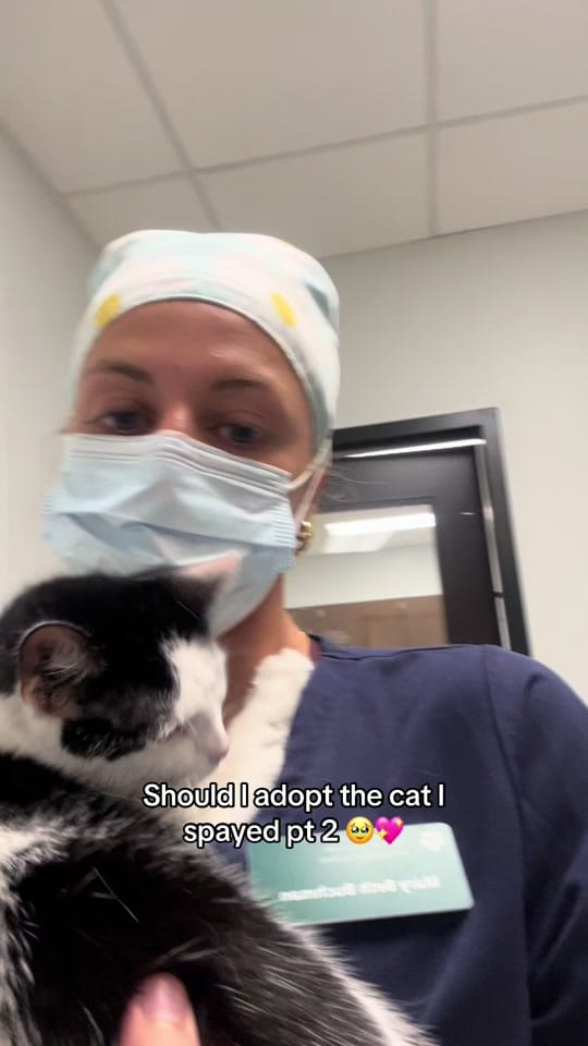 Post 8 by houstonpetvet on TikTok (video)