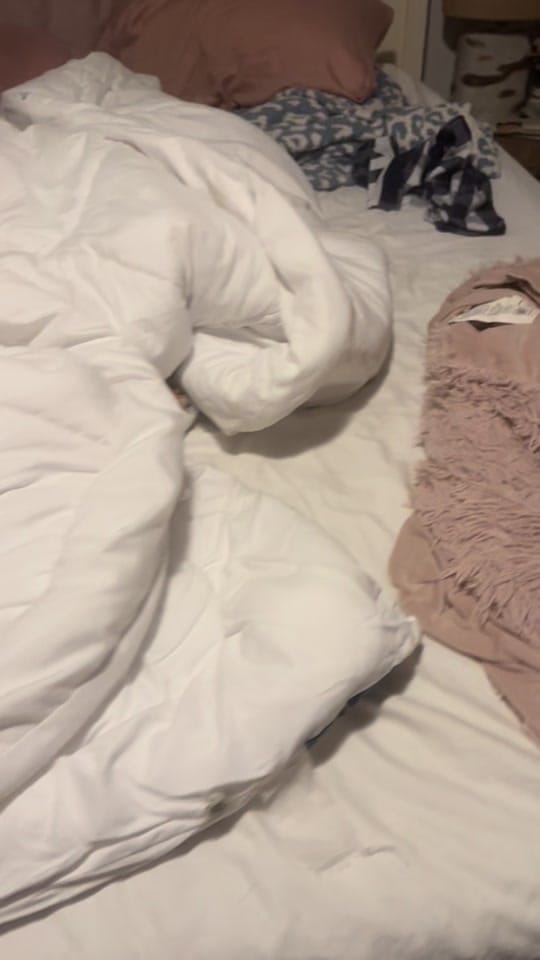 Post 8 by Lauren Capps on TikTok (video)