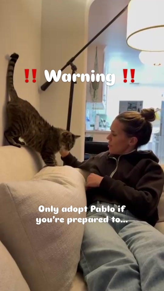Post 8 by smittensrescue on TikTok (video)