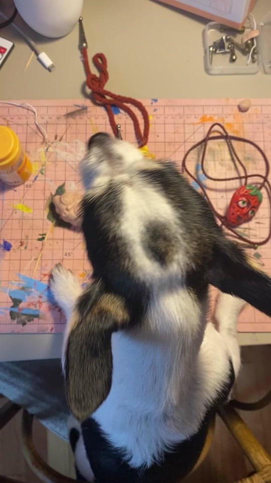 Post 7 by kayla.buium on TikTok (video)