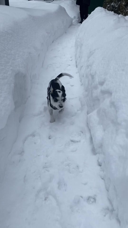 Post 2 by kayla.buium on TikTok (video)