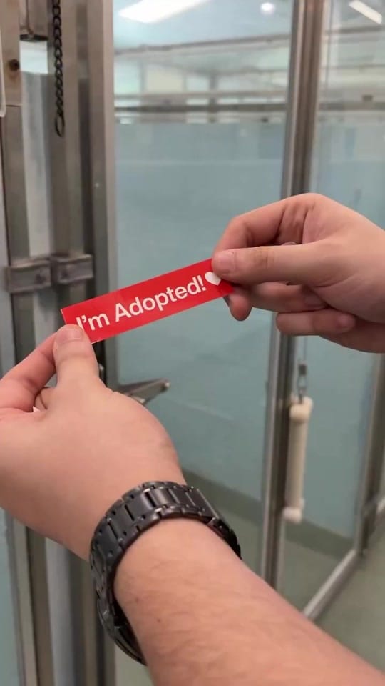 Post 9 by Humane Society Broward County on TikTok (video)