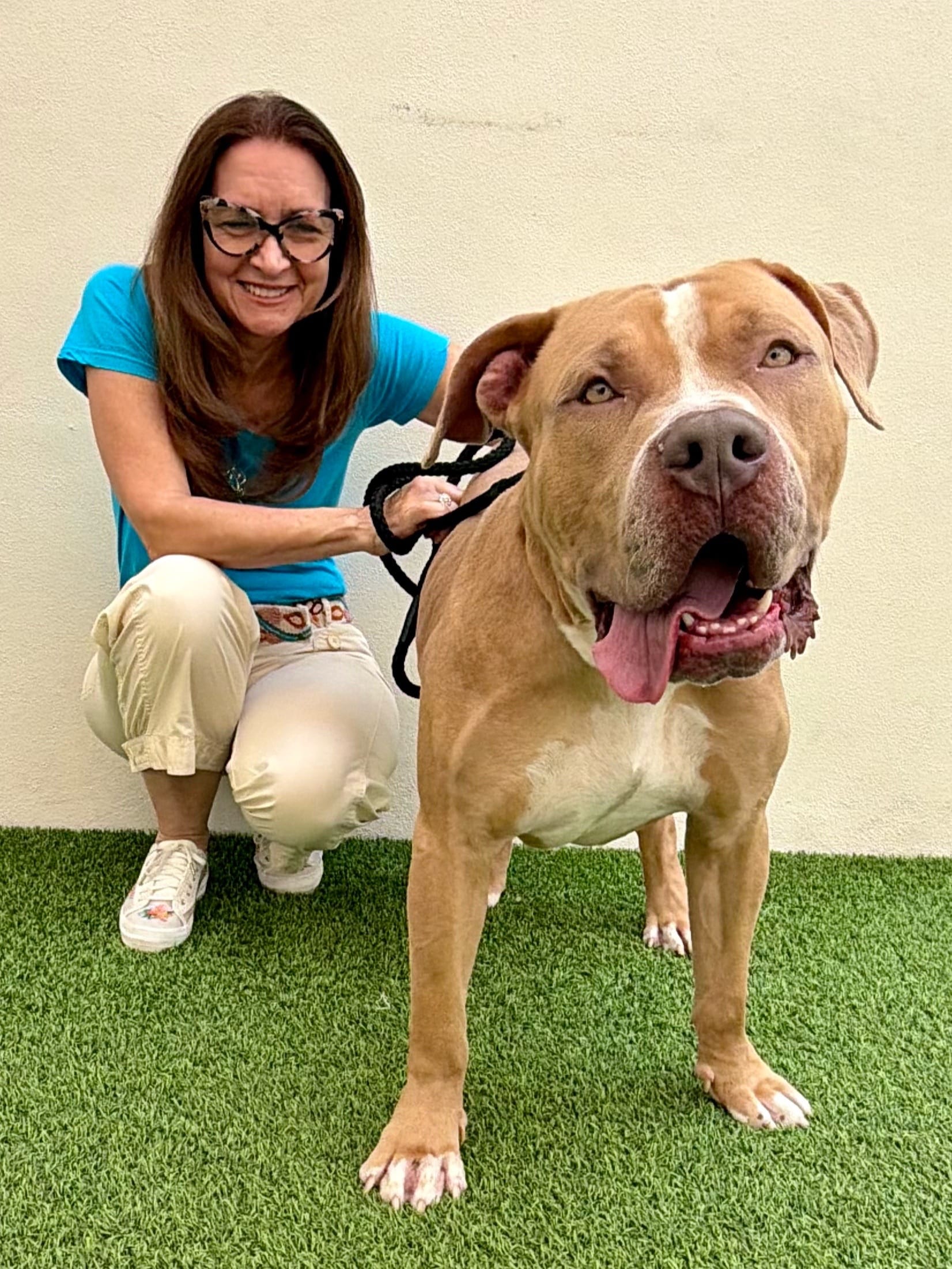 Post 5 by Humane Society Broward County on TikTok (video)