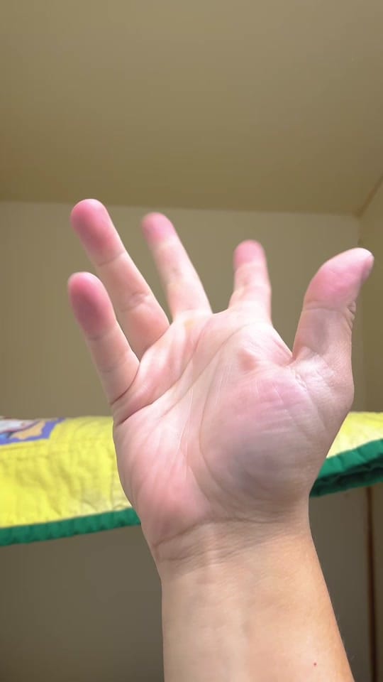 Post 2 by animalhumanenm on TikTok (video)