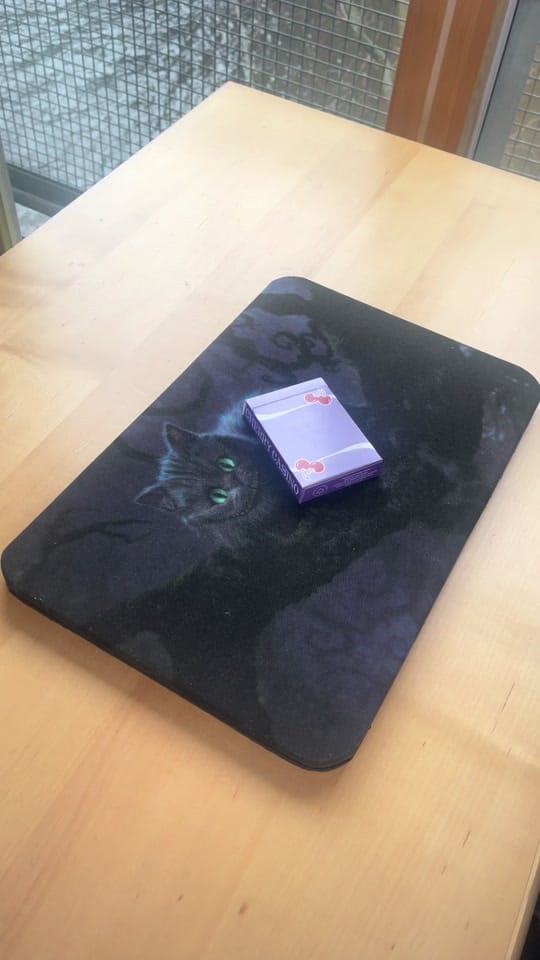 Post 6 by Ashleigh Goodwin on TikTok (video)