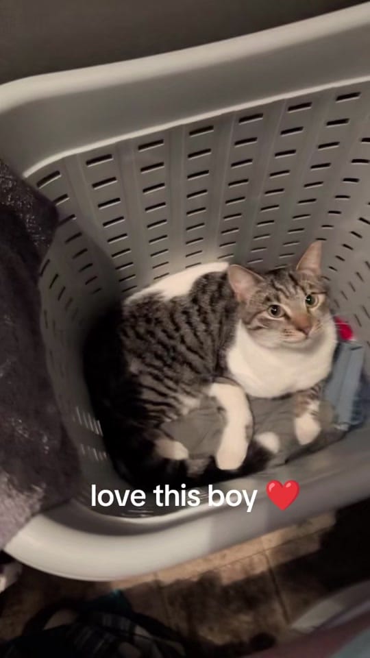 Post 4 by ⚡fireball_1969⚓ on TikTok (video)