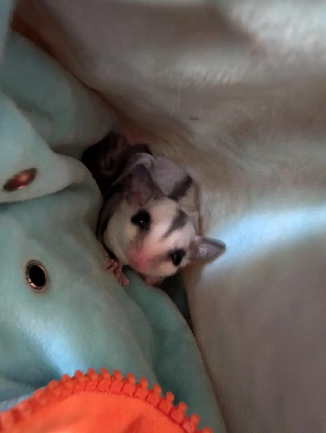 Post 7 by ⚡fireball_1969⚓ on TikTok (video)