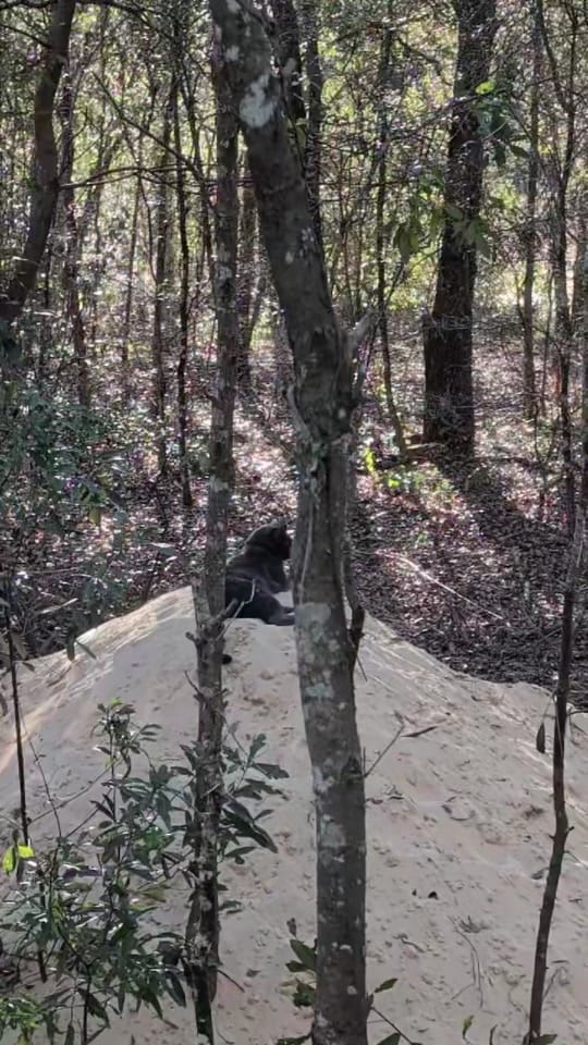 Post 5 by ⚡fireball_1969⚓ on TikTok (video)