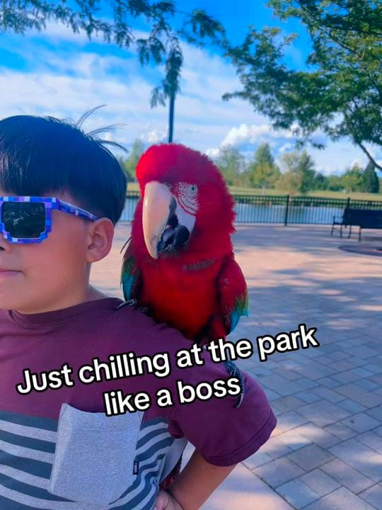 Post 1 by ChaoticCountry_Mama🫶🏼 🇺🇸 on TikTok (video)