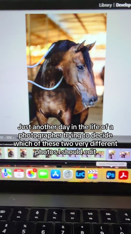 Post 3 by Kirsten Ziegler on TikTok (video)