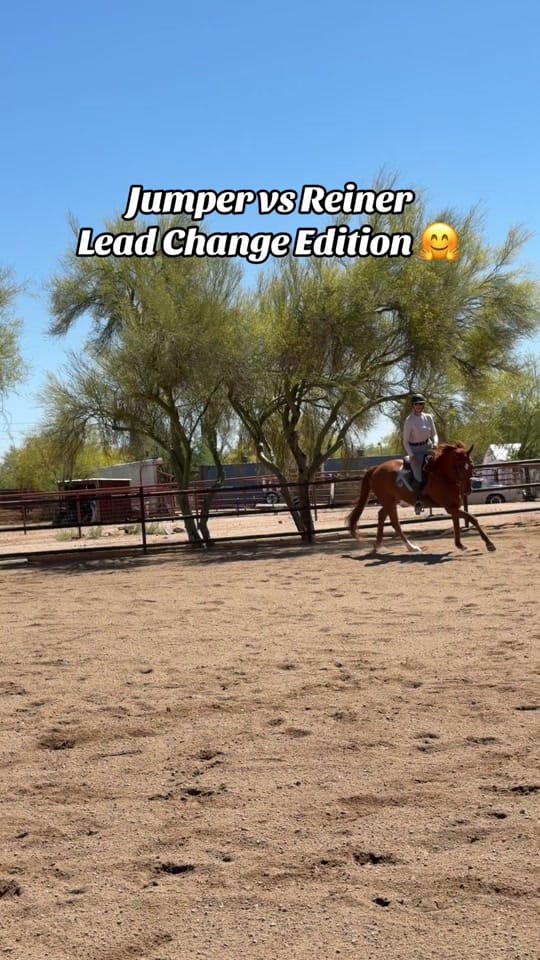 Post 10 by Kirsten Ziegler on TikTok (video)