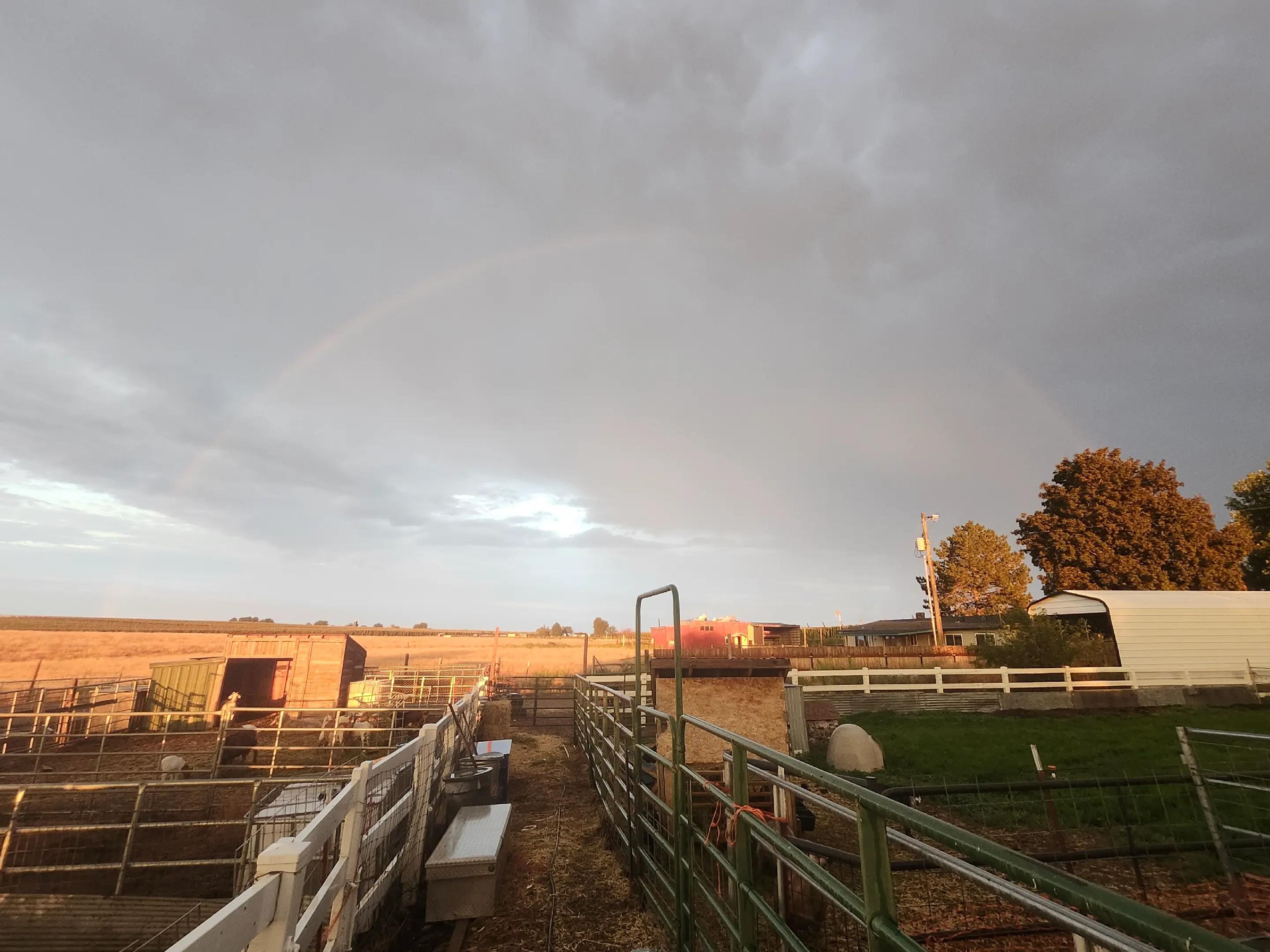 Post 2 by JB Farm on TikTok (video)