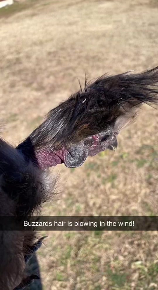 Post 4 by Katty_Lynn on TikTok (video)